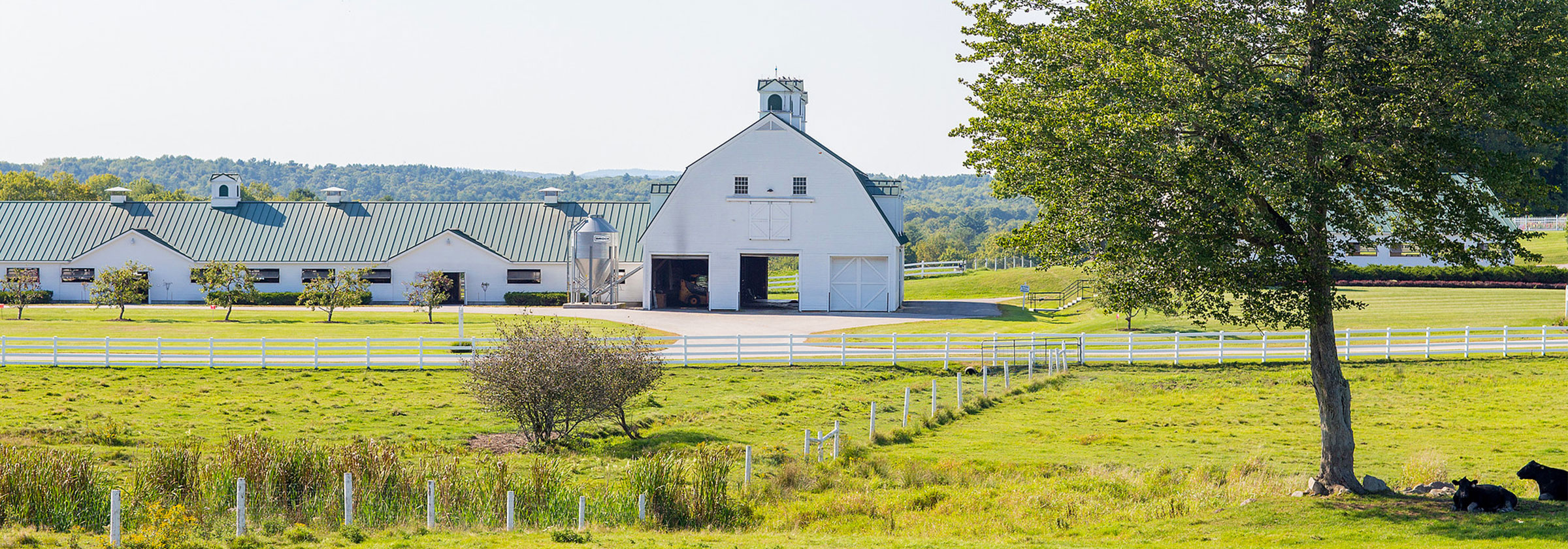 Maine Farm Partners - Pineland Farms Dairy