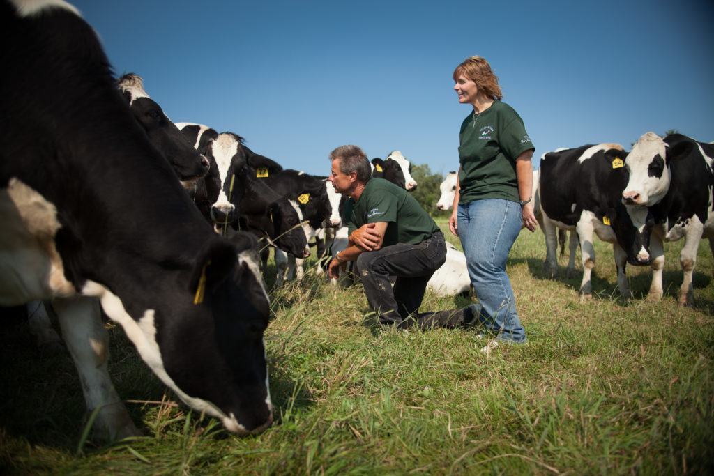 Maine Farm Partners - Pineland Farms Dairy