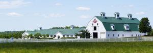 A white barn with a green metal roof sits in a pastoral green landscape.