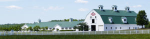 A white barn with a green metal roof sits in a pastoral green landscape.