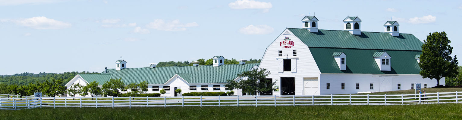 A white barn with a green metal roof sits in a pastoral green landscape.