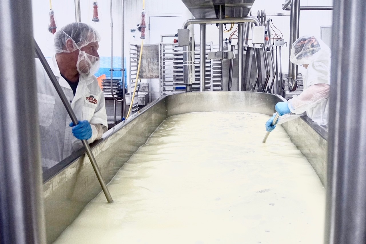 cheese makers stirring curds and whey