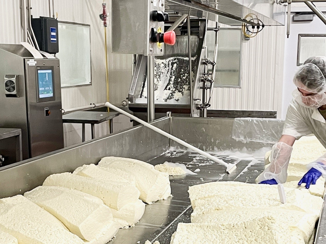 cheese making curd blocks