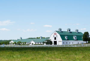 A white barn with a green metal roof sits in a pastoral green landscape.