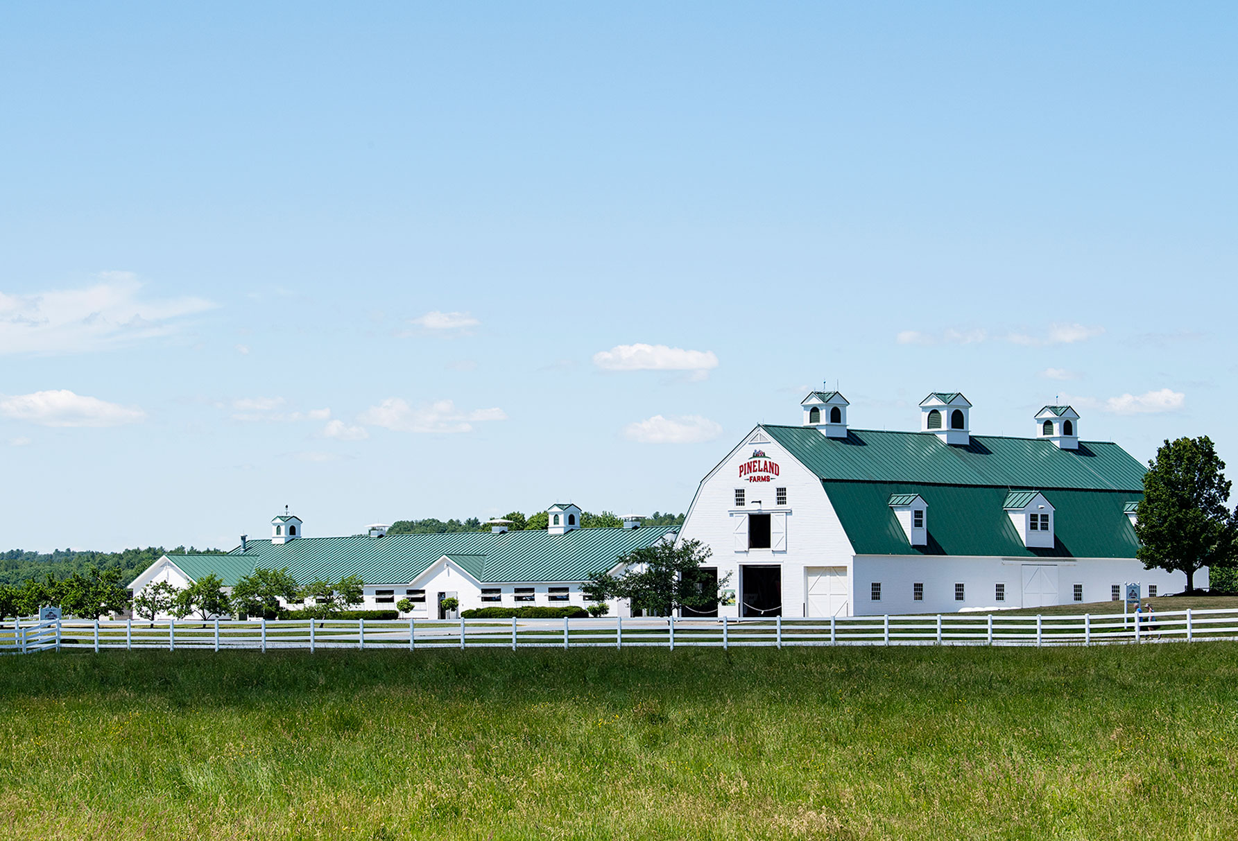 A white barn with a green metal roof sits in a pastoral green landscape.