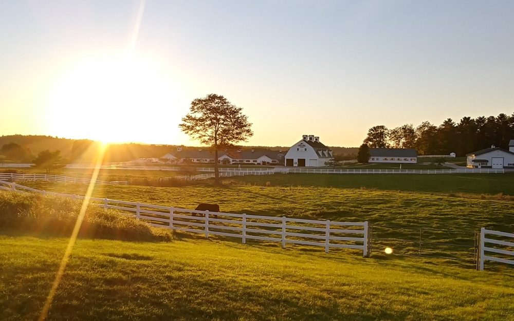 Pineland Farms Dairy Wins Big at the Big E with Several Prestigious Awards