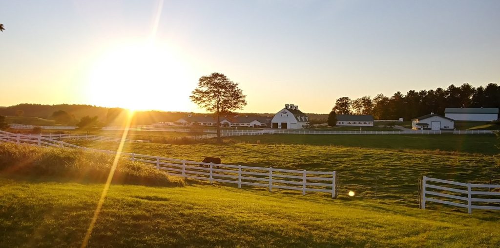 sunset pineland farms